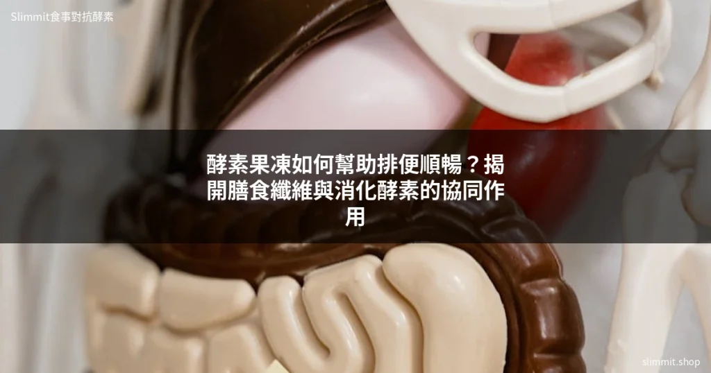酵素果凍如何幫助排便順暢?揭開膳食纖維與消化酵素的協同作用 9 酵素排便 酵素果凍幫助排便順暢 膳食纖維 Slimmit食事對抗酵素
